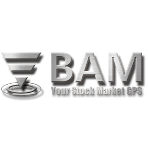 BAM Fintech logo