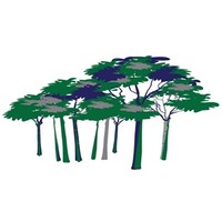 Jomon Investment Management (HK) logo