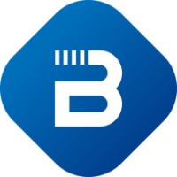 Bluevisor logo