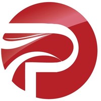 PivotAccess logo